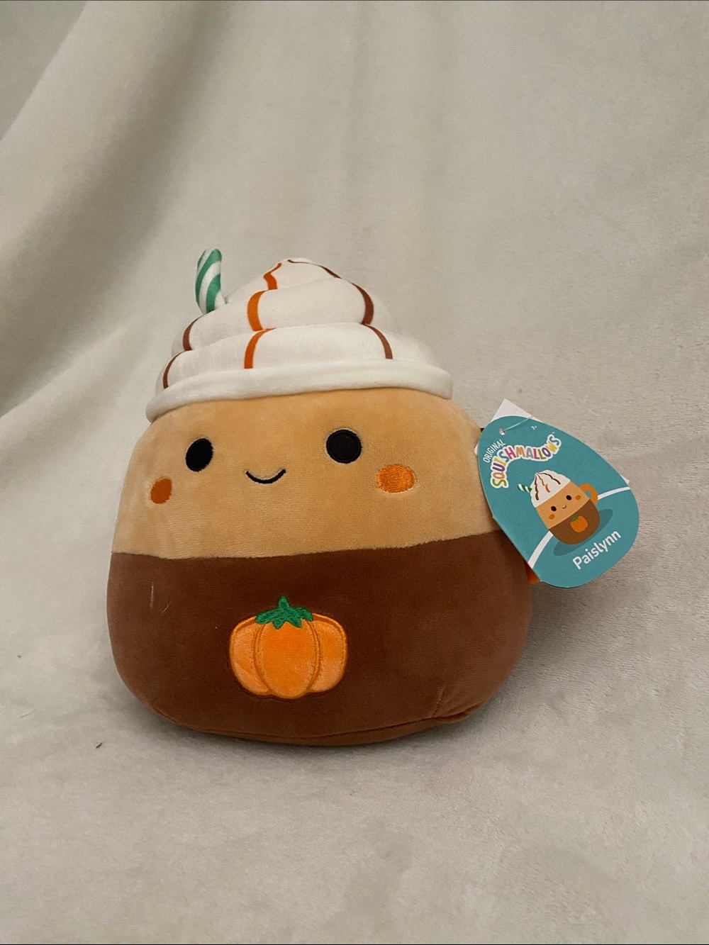 Paislynn-10”-mug